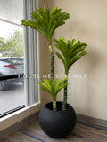 (PA1011) Bromeliad Tree with planter