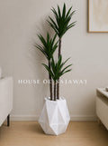 (PA1013) Agave Plant With Planter