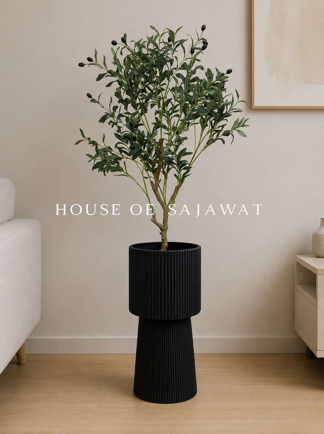 (PA1014) Olive tree with premium planter