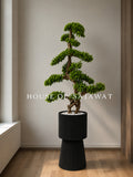 (PA1015) Bonsai Topiary Tree with planter