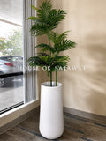 (PA1016) Areca plant with pot