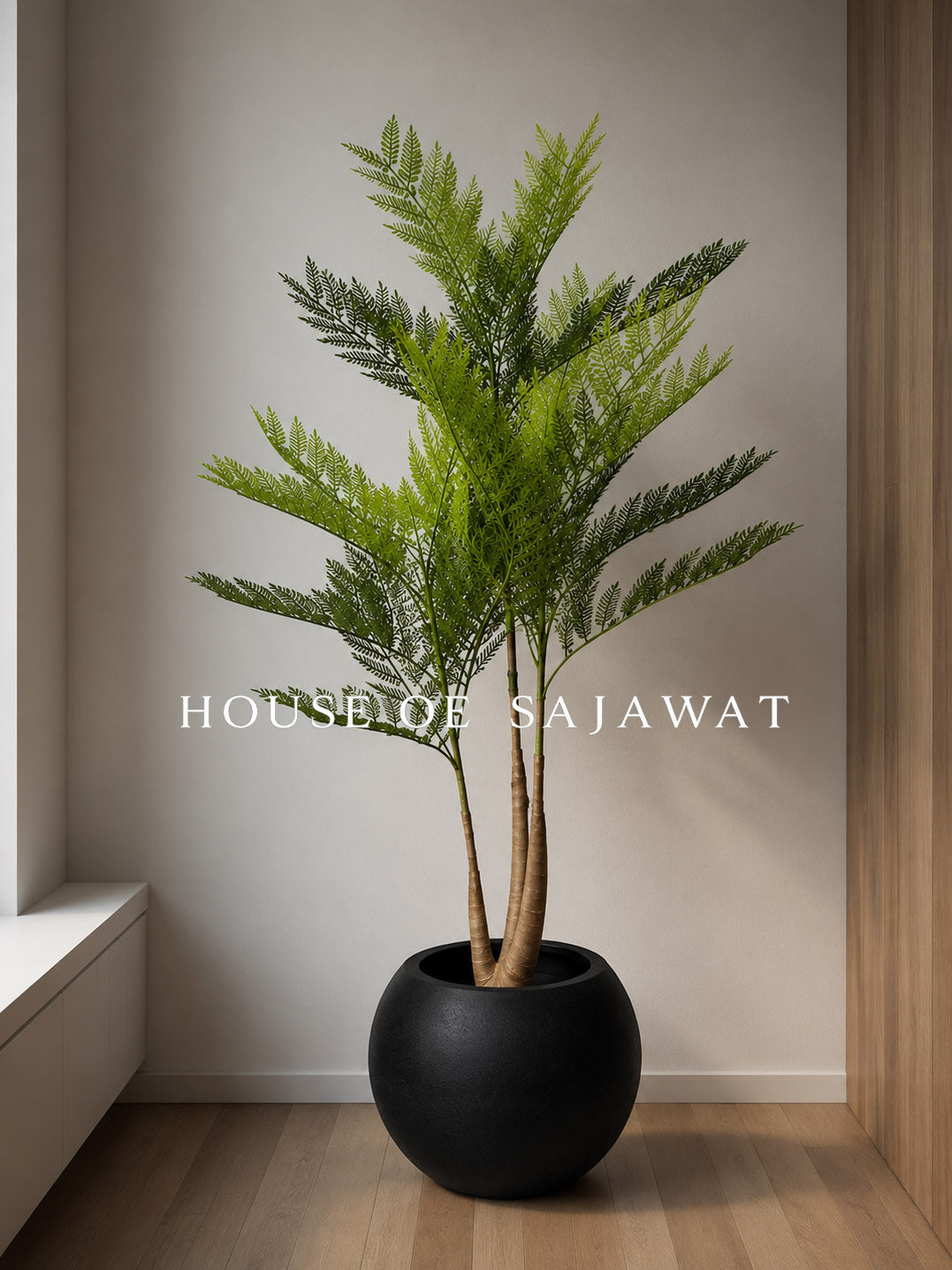(PA1017) Amli Plant With Planter