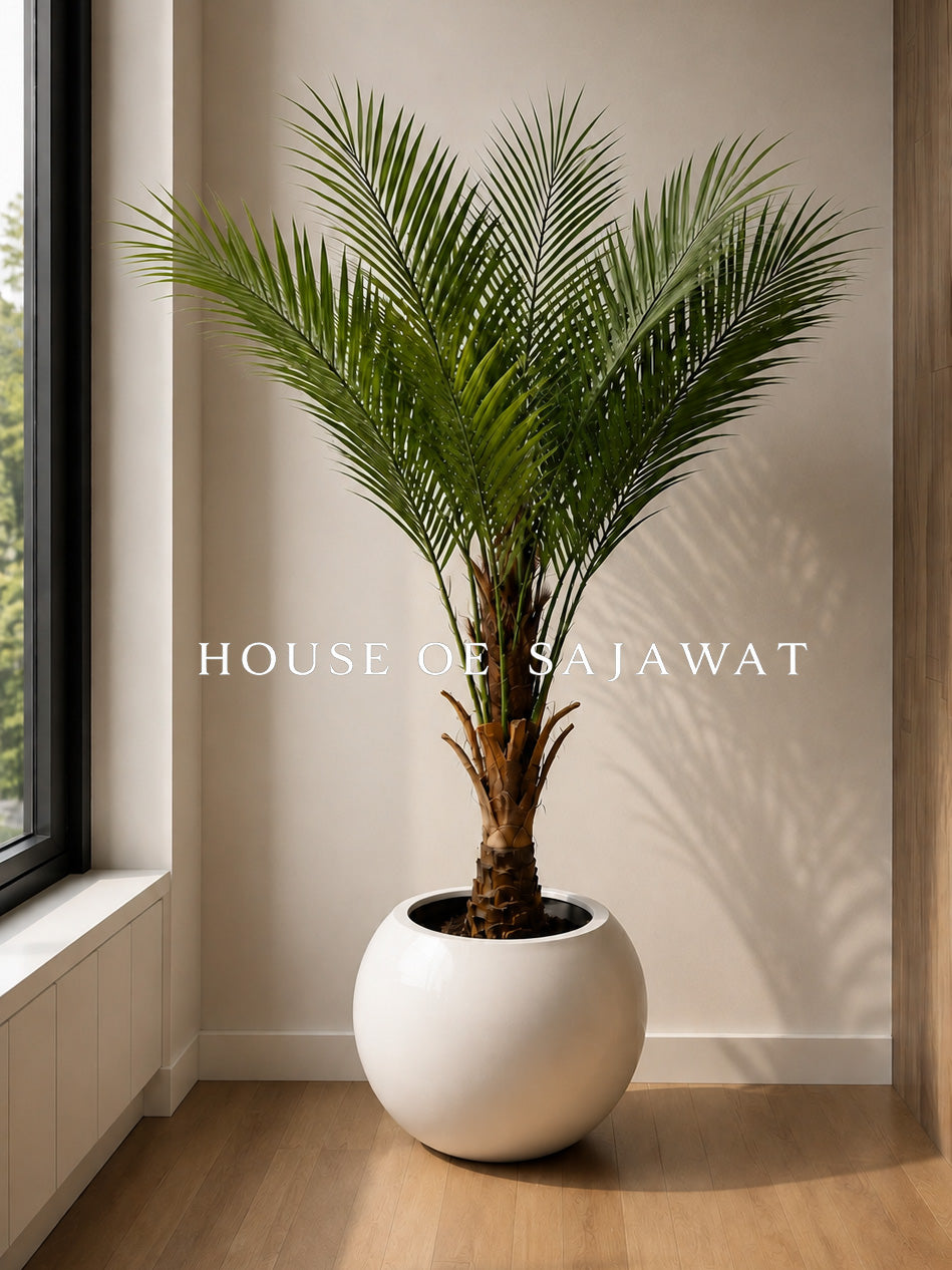(PA1018) Bottal Palm With Planter