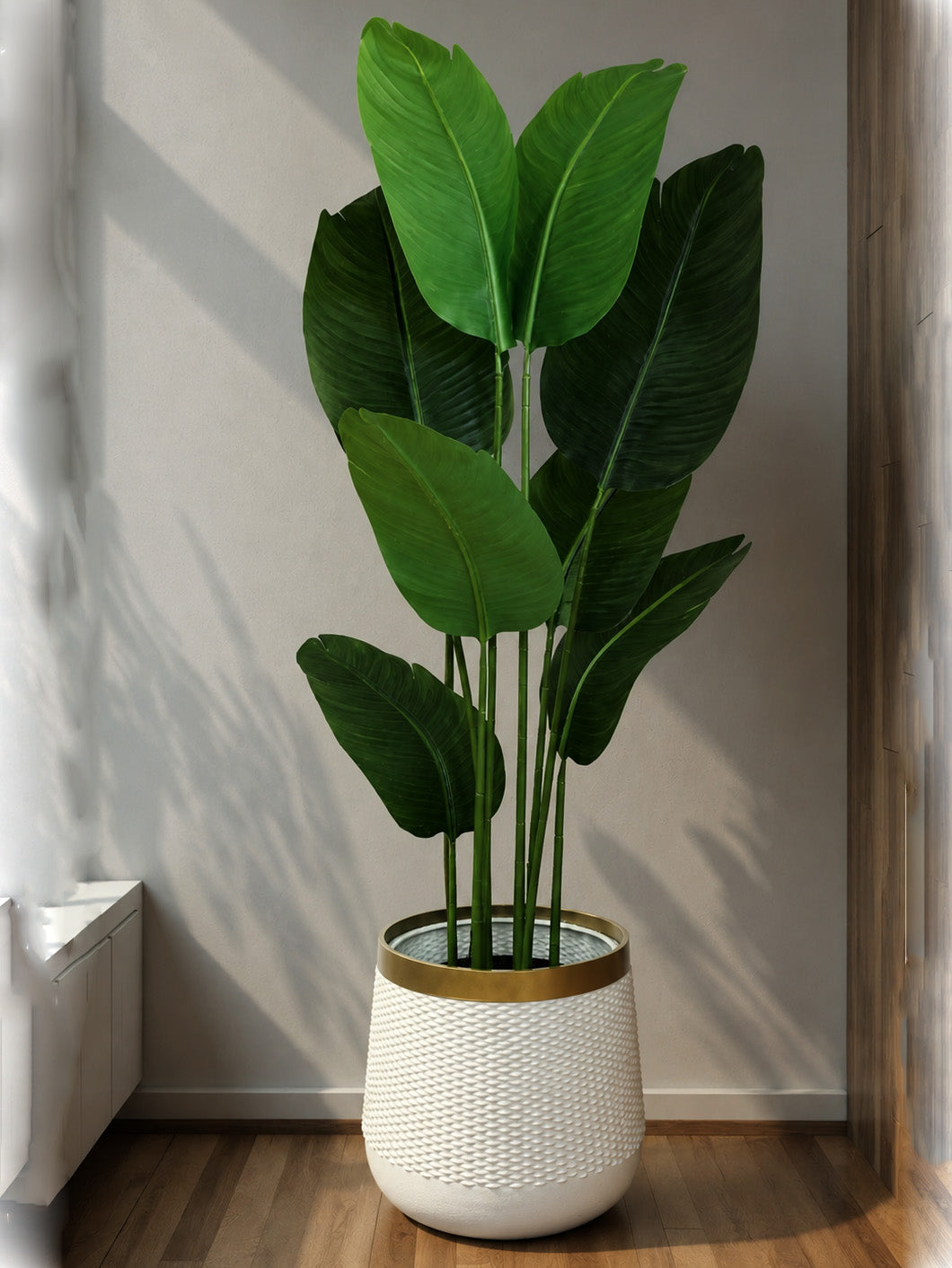 (PA11022) Banana Plant With Pot