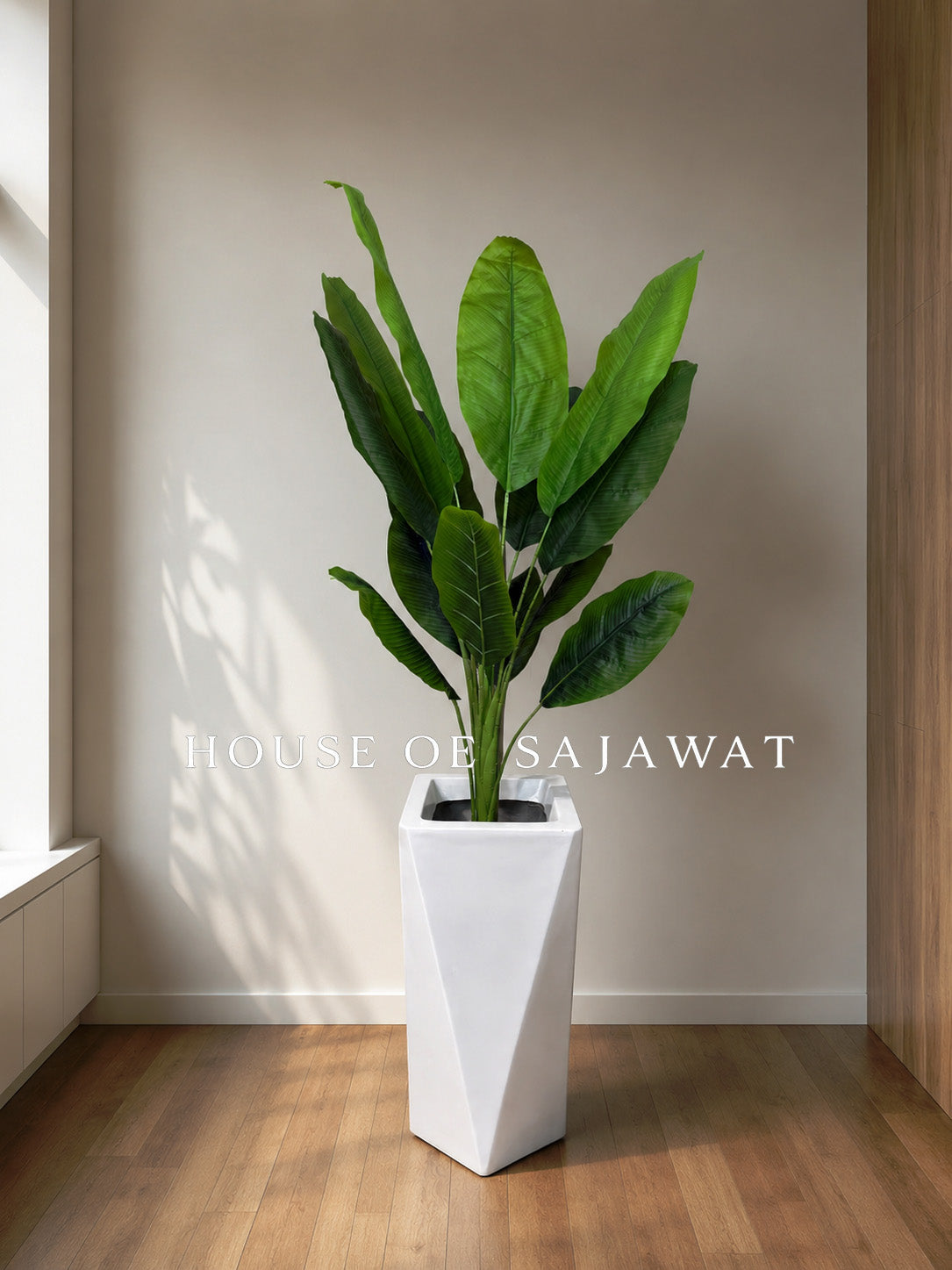 (PA1023) Banana Plant With Premium Planter