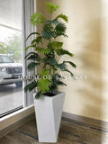 (PA1024) Areca Plant With Planter