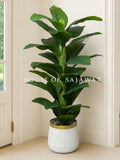 (PA1027) Plant Arrangement With Planter