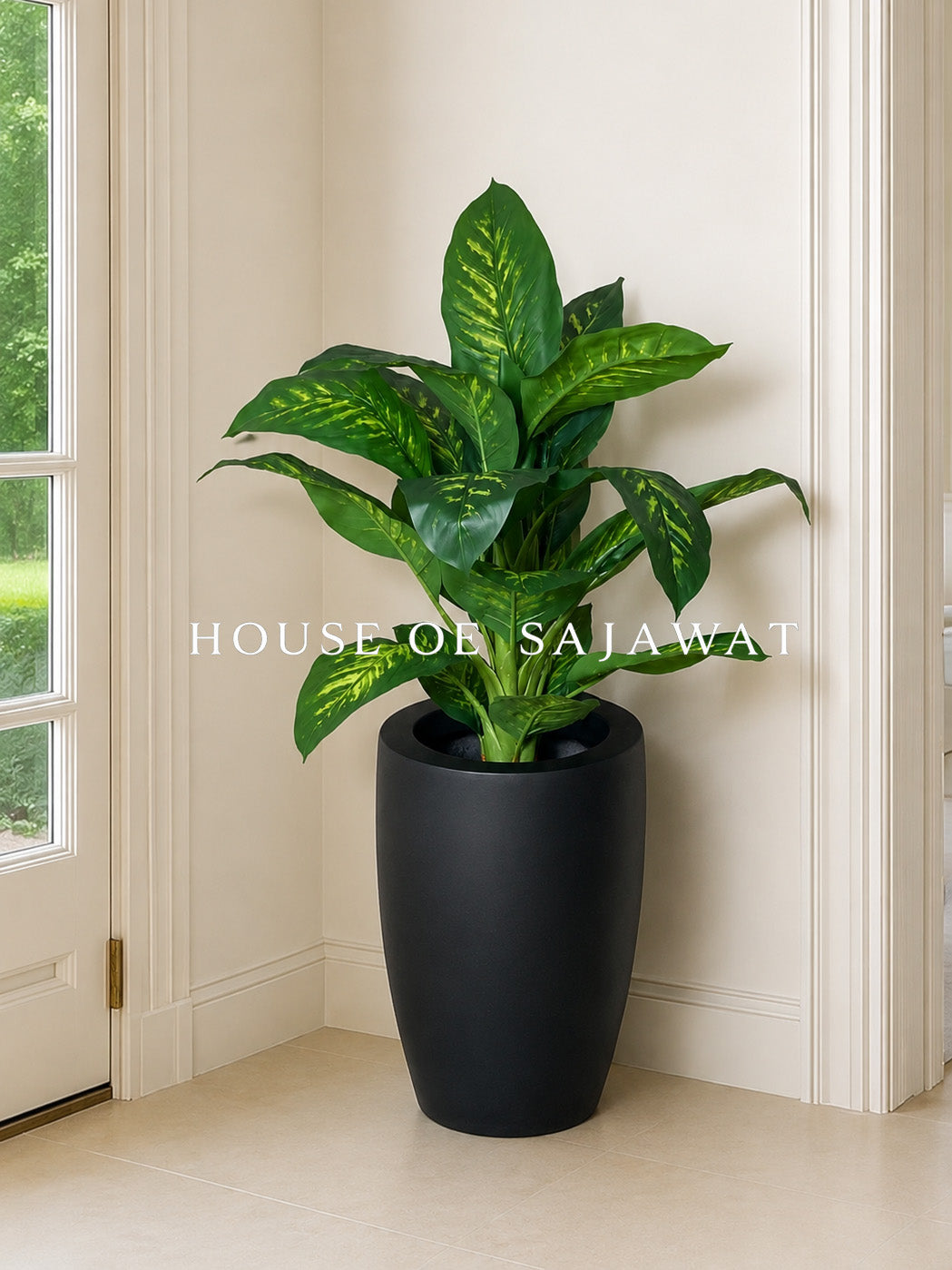 (PA1028) Dieffenbachia Plant With Planter