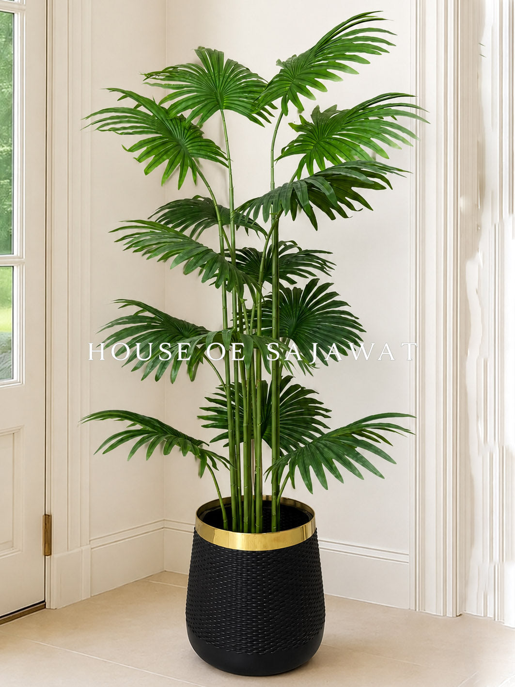 (PA1029) Fan Palm With Pot