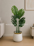 (PA1031) Monstera Plant With Planter