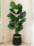 (PA1037) Monstera Plant With Planter