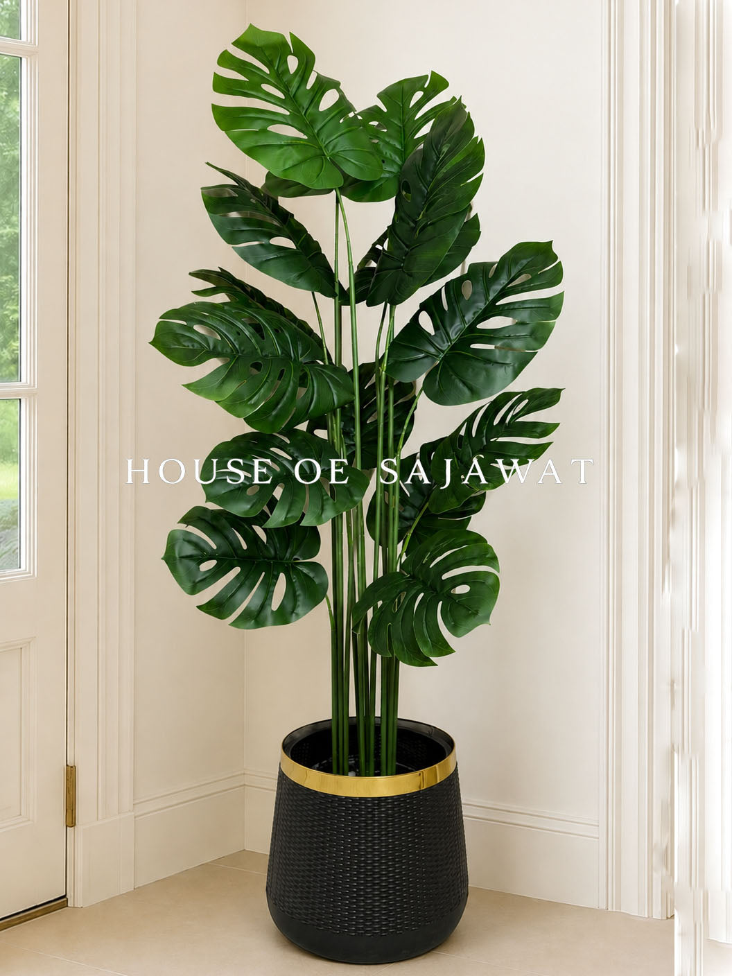 (PA1037) Monstera Plant With Planter