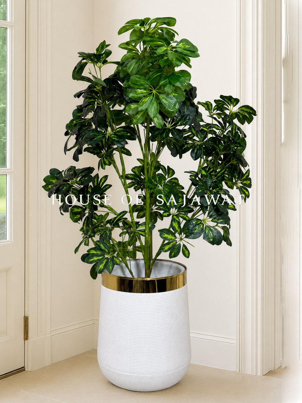 (PA1039) Cheecho Plant With Planter