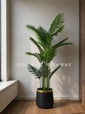 (PA104) Areca Palm with Planter