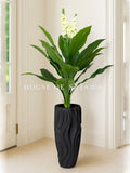 (PA1040) White Champa Flower Plant With Premium Planter