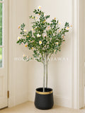 (PA1041) Champa Flower Plant With Pot