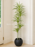 (PA1044) Dracaena Warneckii Plant With Planter