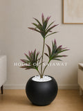 (PA1047) Dracaena Plant With Planter