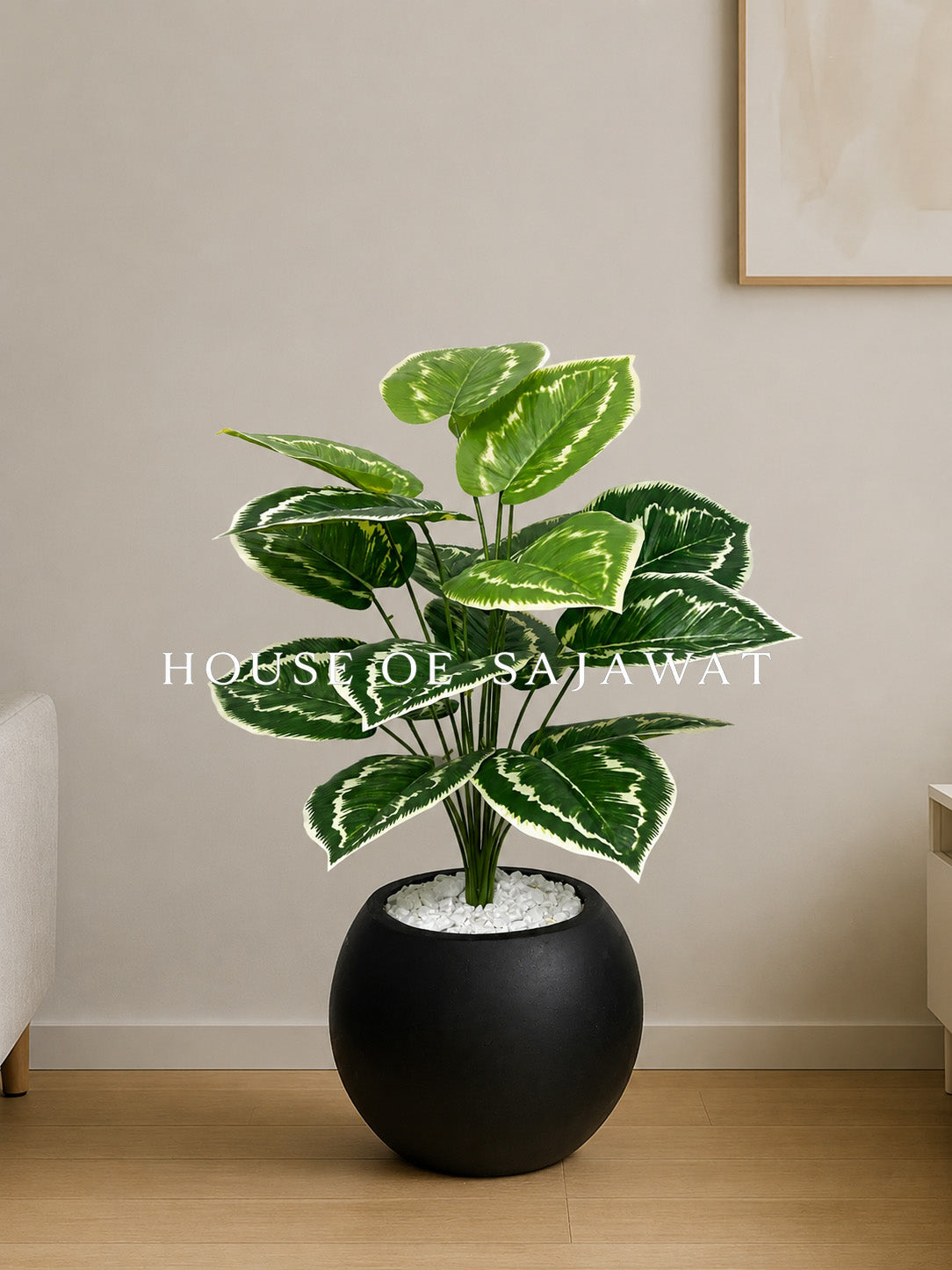 (PA1049) Variegated Plant With Pot