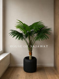 (PA104)Fan Palm Plant With Planter