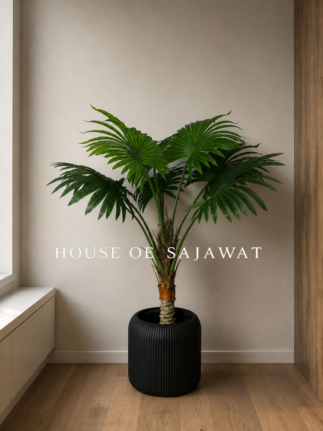 (PA104)Fan Palm Plant With Planter
