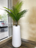 (PA1053) Areca Plant With Planter