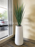 (PA1054) Aloe Vera Plant With Planter