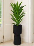 (PA1057) Snake Plant With Planter