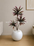 (PA1059) Dracaena Plant With Planter