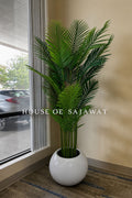 (PA106) Areca Plant with planter