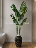(PA1061) Monstera Plant With Planter