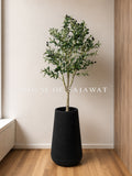 (PA1062) Olive Plant With Planter