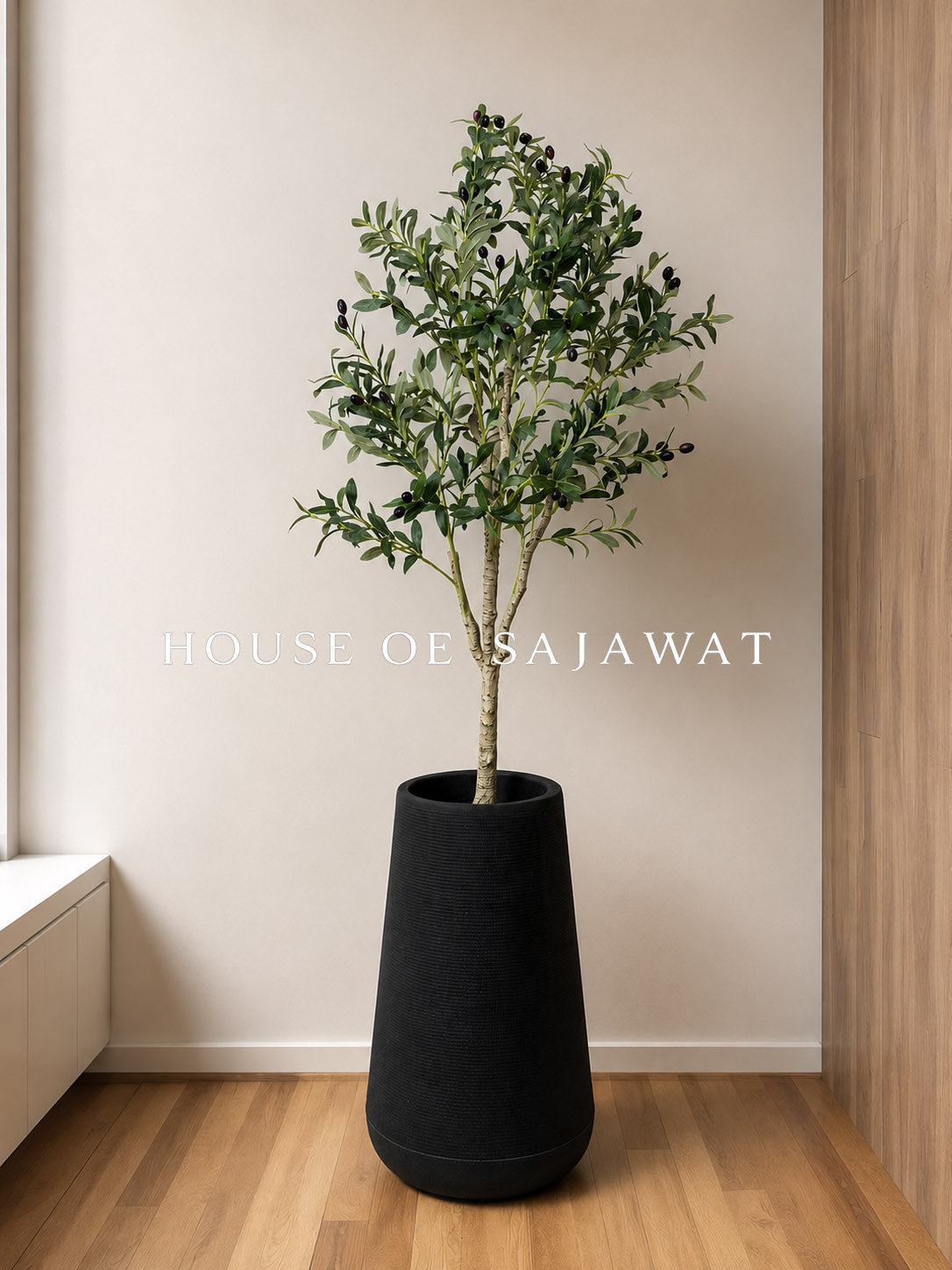 (PA1062) Olive Plant With Planter