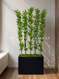 (PA1064) Kiyari With Bamboo Sticks