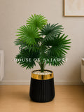 (PA1069) Fan Palm Plant With Planter