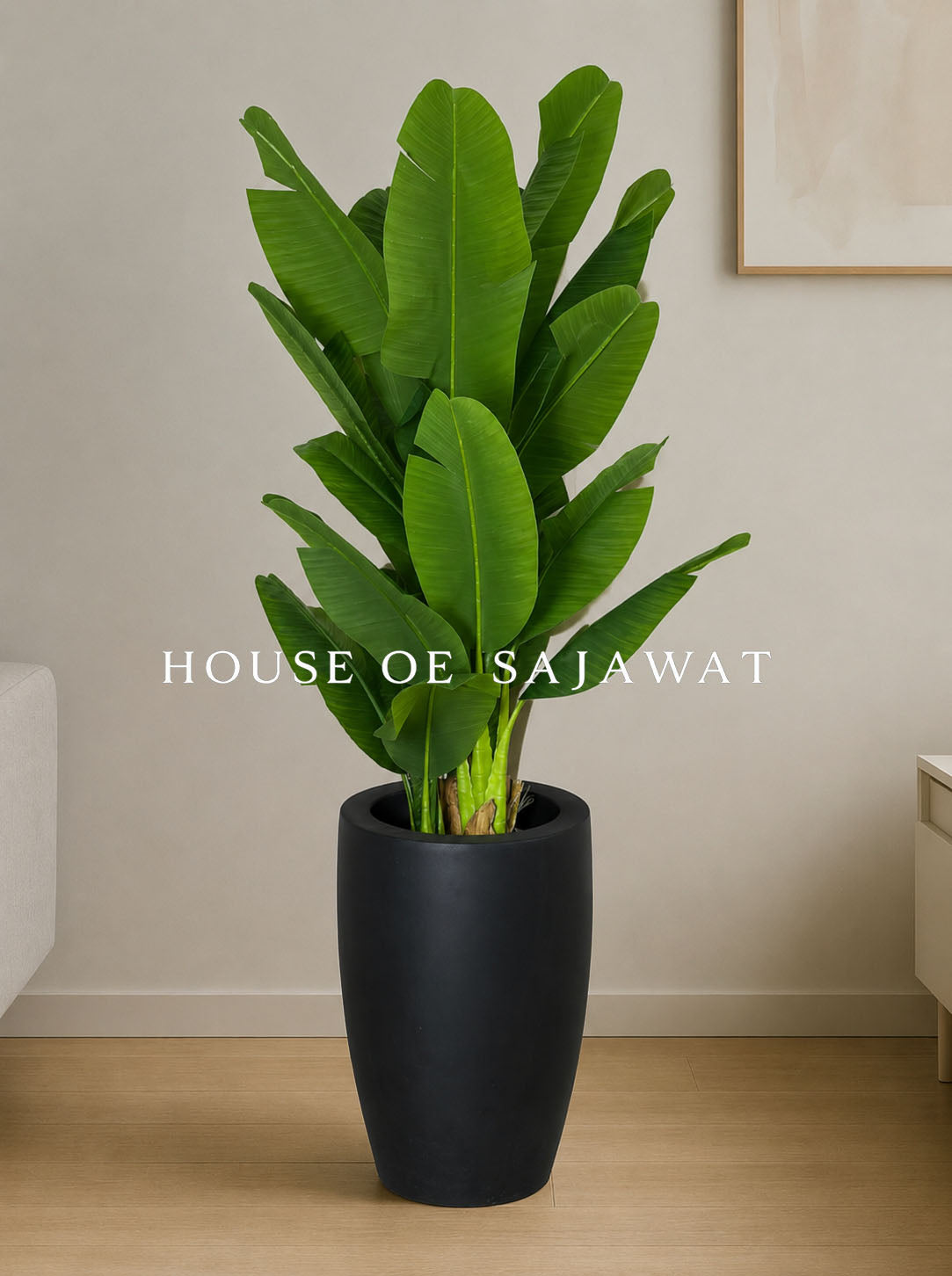 (PA107) Bambo Banana Plant With Planter