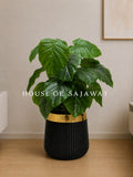 (PA1070) Pothos Plant With Planter