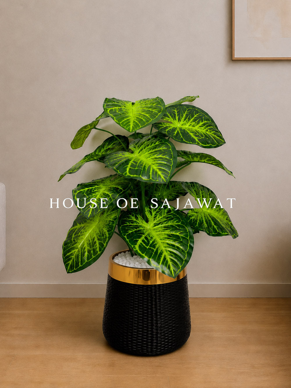 (PA1072) Anthurium Plant With Planter