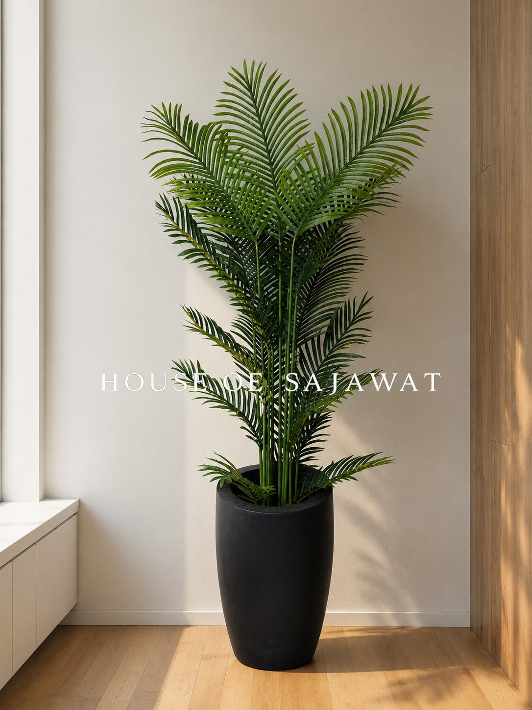(PA1074) Areca Plant With Planter