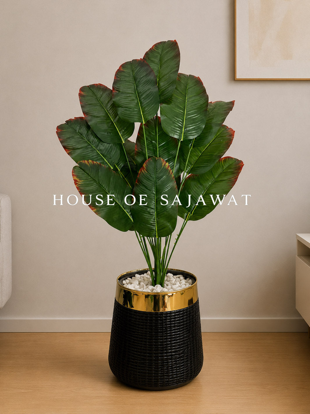 (PA1075) Banana Plant With Planter