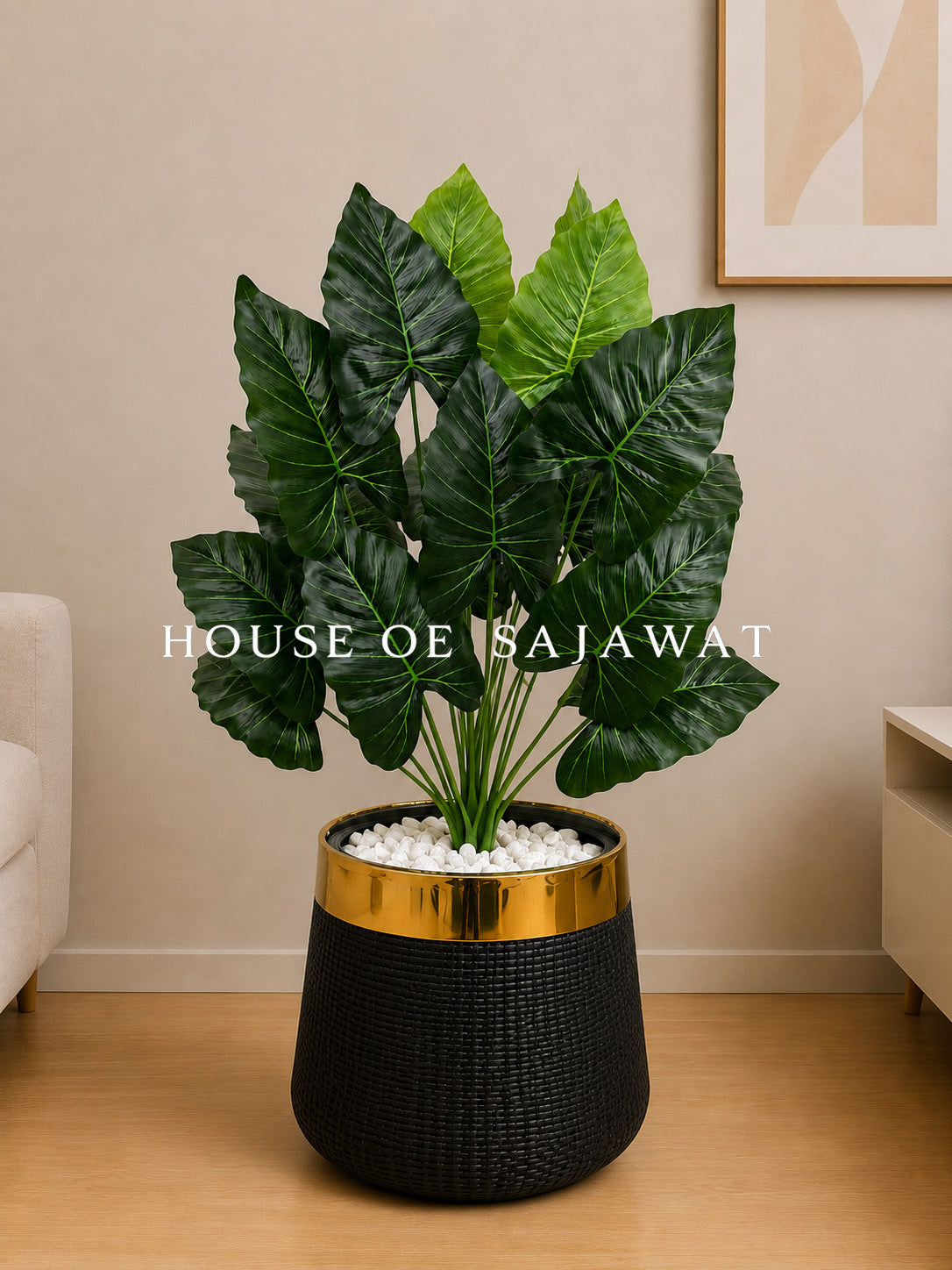 (PA1078) Caladium Plant With Planter
