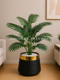 (PA1079) Areca Palm Plant With Planter