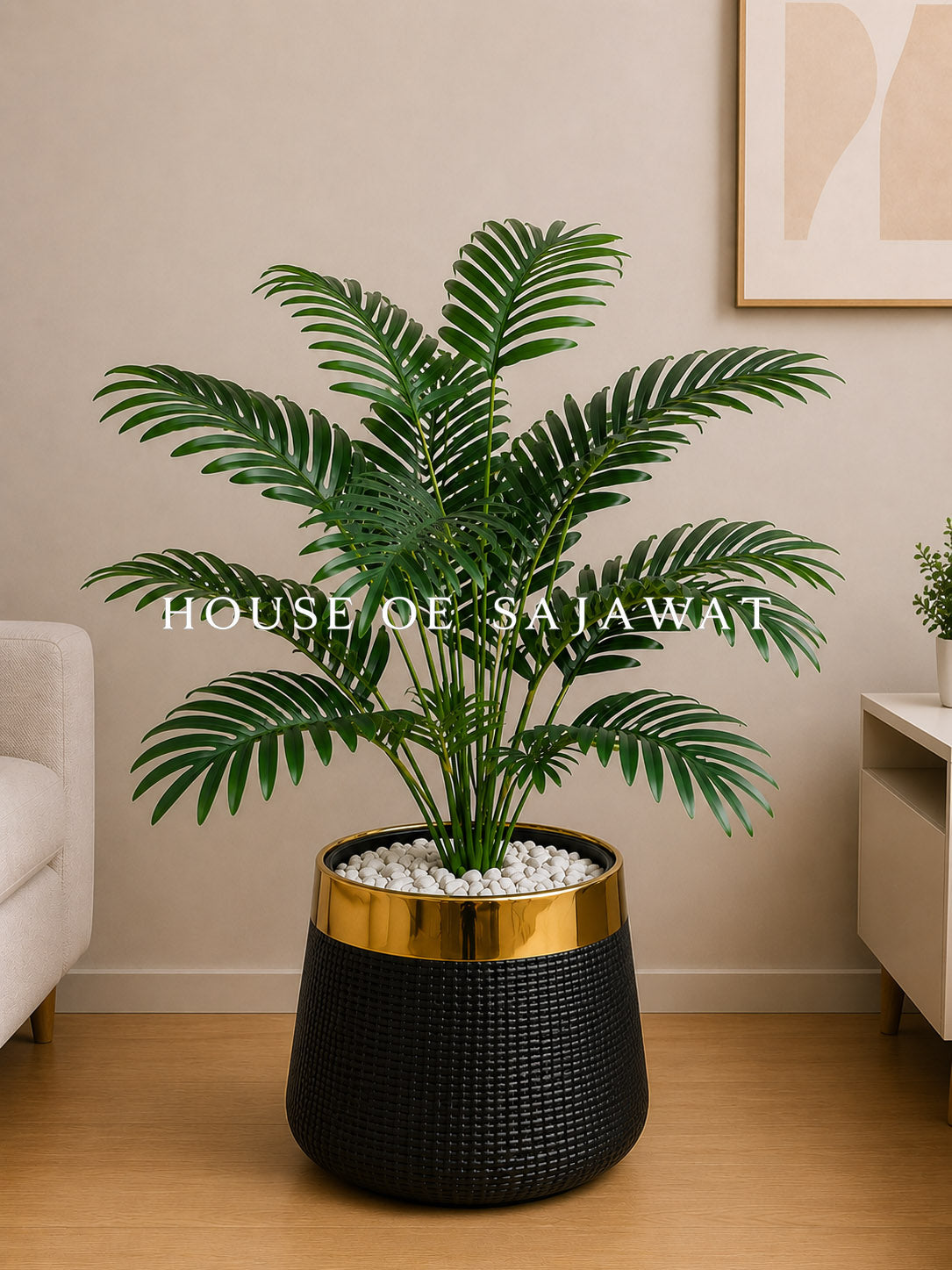 (PA1079) Areca Palm Plant With Planter