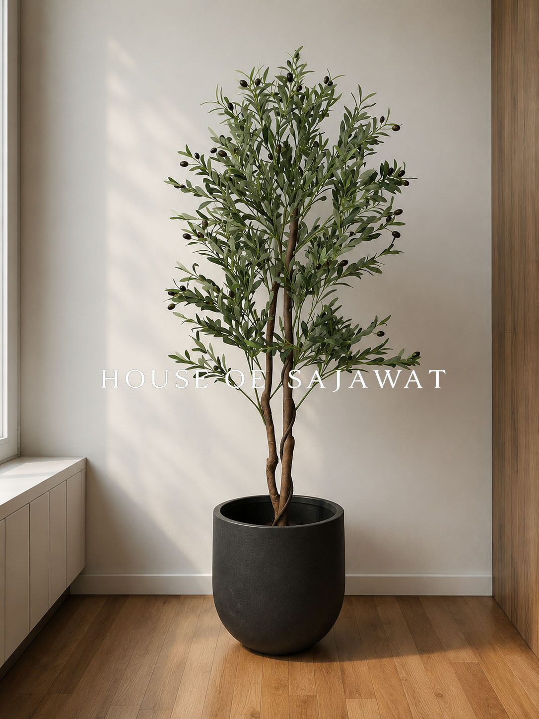 (PA108) Olive Plant With Planter