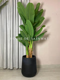 (PA1084) Bambo Banana Plant With Planter
