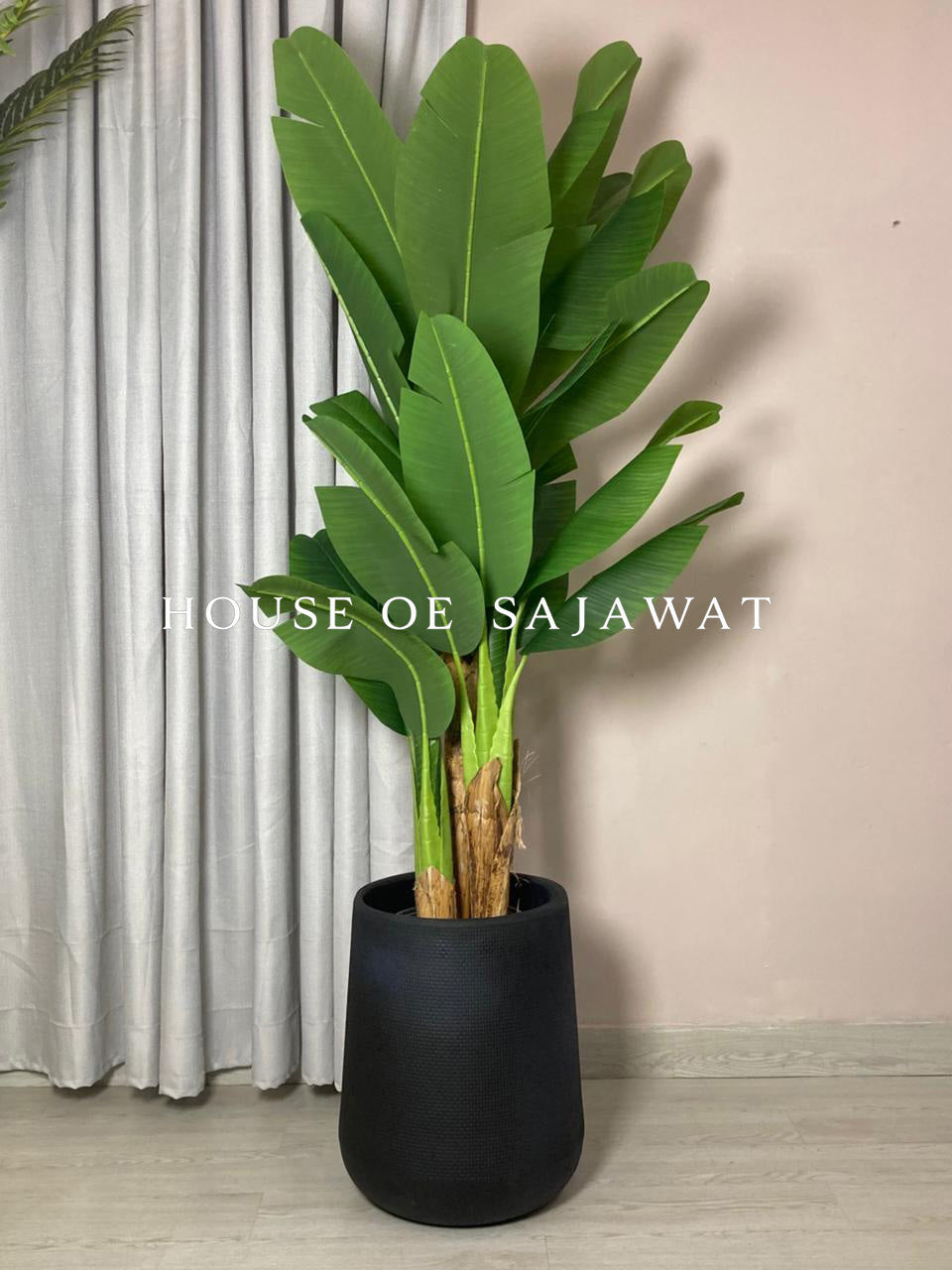 (PA1084) Bambo Banana Plant With Planter