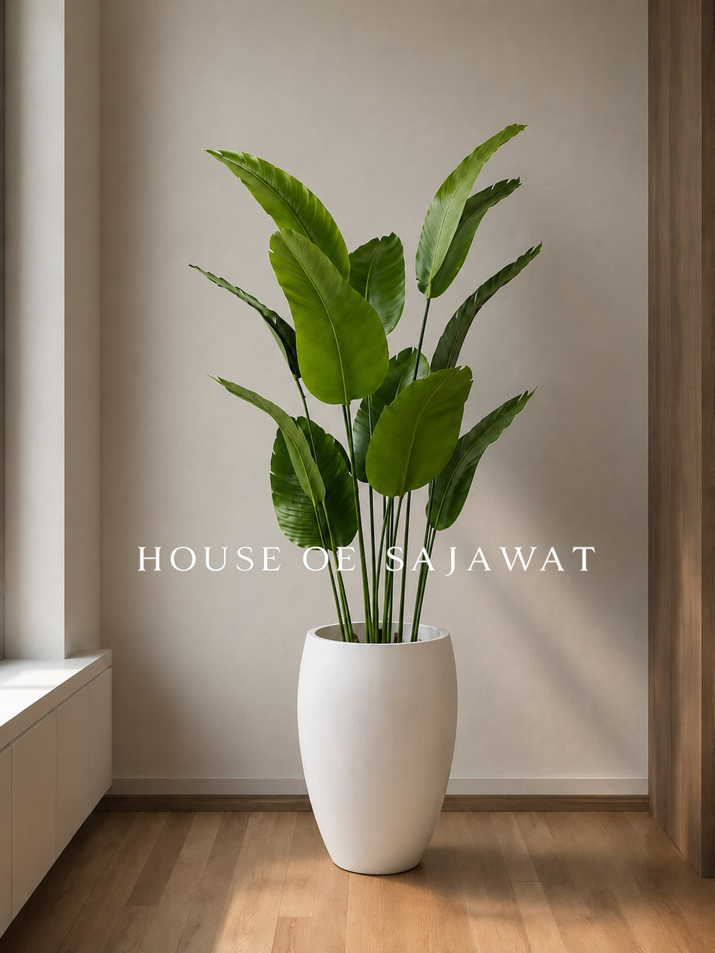 (PA1085) Banana Plant