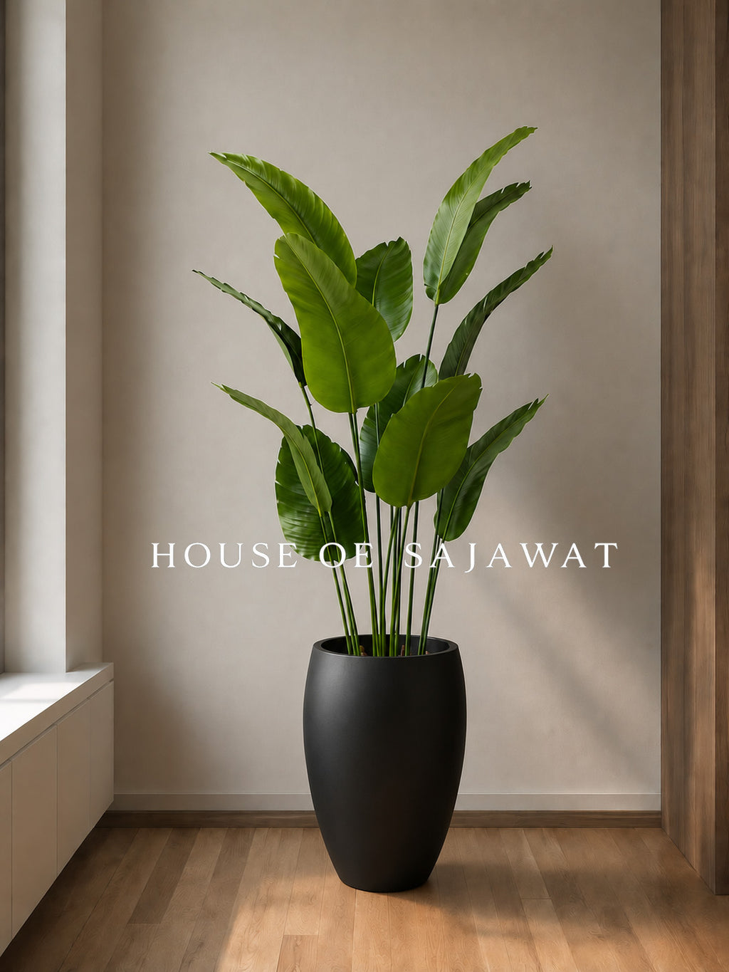 (PA1085) Banana Plant