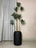 (PA1088) Dracaena Plant With Planter