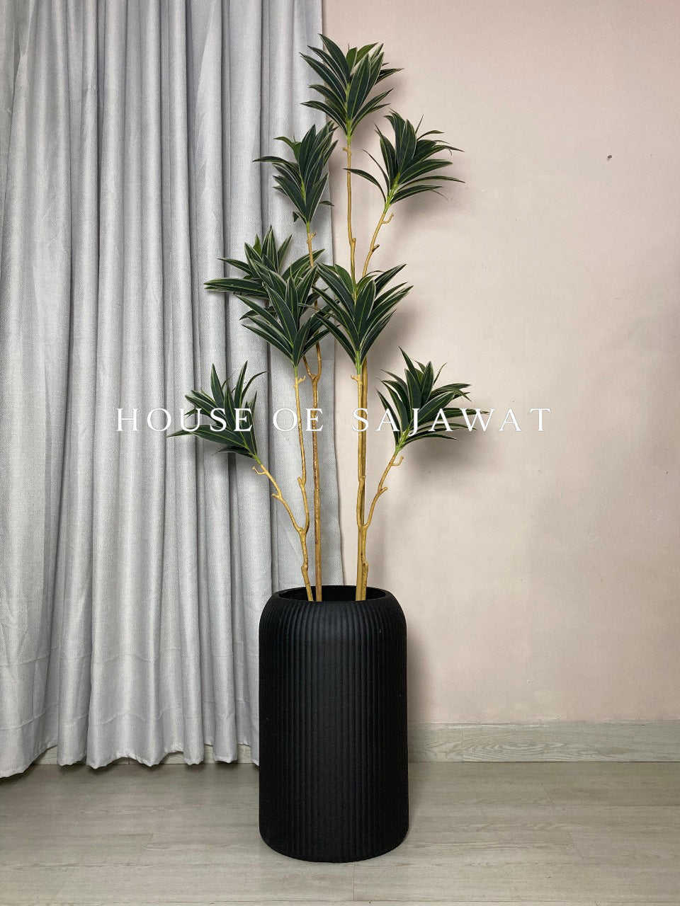 (PA1088) Dracaena Plant With Planter